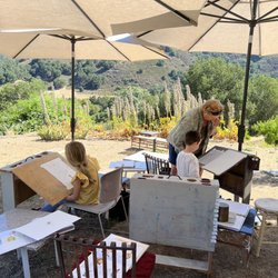 Diane Wallace Art Studio