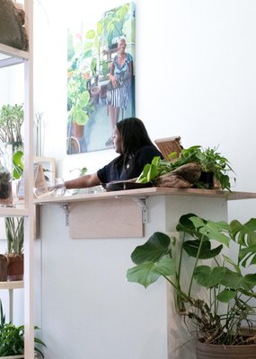 The ZEN Succulent by null