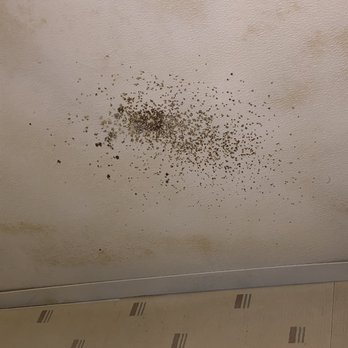 Gateway Inn - Black mold in bathroom - Hotels Near Me - Merrick, New York