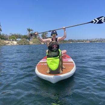 SUP Pups - Paddleboarding Near Me - San Diego, California