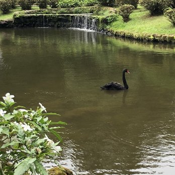 Polynesian Adventure - Bus Tours Near Me - Honolulu, Hawaii