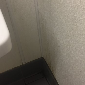 CVS Pharmacy - Hope this gets to management. The bathroom is disgusting!! Not what I expect when at CVS. - Drugstores Near Me - HUNTINGTON BEACH, California