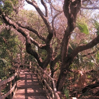 Lori Wilson Park - Lori Wilson Park - Parks Near Me - Cocoa Beach, Florida Lori Wilson Park - Lori Wilson Park - Parks Near Me - Cocoa Beach, Florida