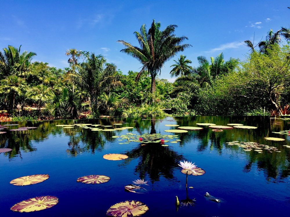 NAPLES BOTANICAL GARDEN 1219 Photos & 234 Reviews 4820 Bayshore Dr