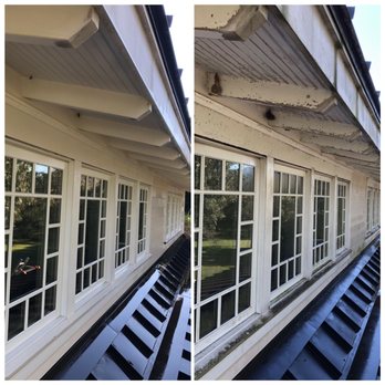 SoftWasherz - Exposed rafters crest very good habitats for bugs and organic growth! We recommended cleaning regularly! - Pressure Washers Near Me - Daphne, Alabama