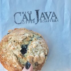 Cal Java Coffee Roasters - Vegan blueberry vanilla scone