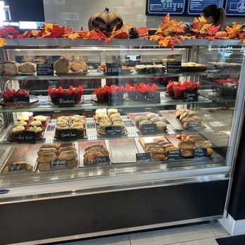 Java Lounge - Ohhh their delicious baked goodies cover breakfast, lunch, dinner, snacks, and desserts - Coffee & Tea Near Me - Mansfield, Texas