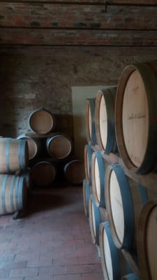 Castello di Gabbiano by null