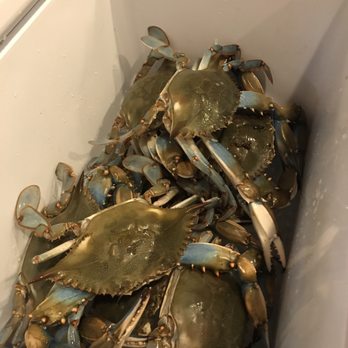 John's Seafood - Seafood Near Me - Paulsboro, New Jersey