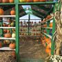 Photo of Steel Wheel Farm