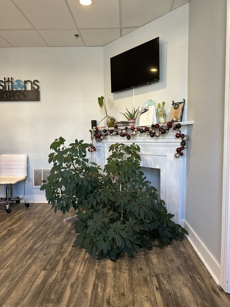 Transitions Float RVA Midlothian