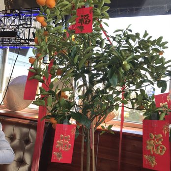 Pho Today - Vietnamese Near Me - South Plainfield, New Jersey Pho Today - Vietnamese Near Me - South Plainfield, New Jersey