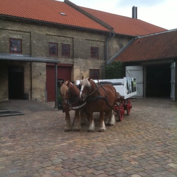 Visit Carlsberg - The views - VN - Breweries Near Me - København V, 84 Visit Carlsberg - The views - VN - Breweries Near Me - København V, 84