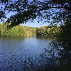 Grüner See