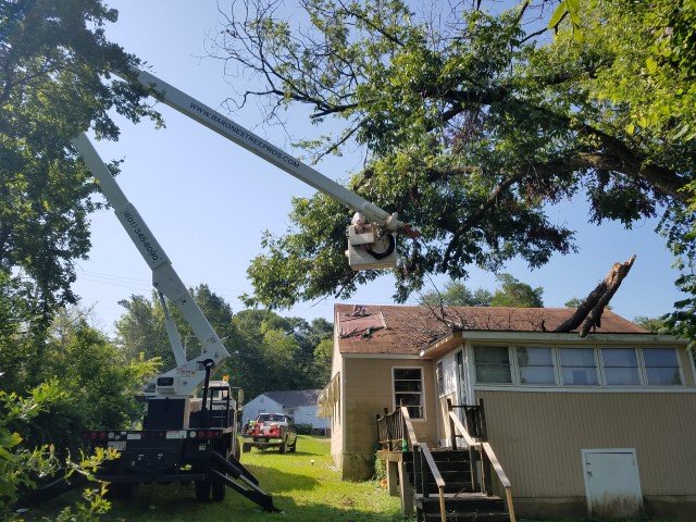 Barone's Tree Pros - tree service in Brandon, MS
