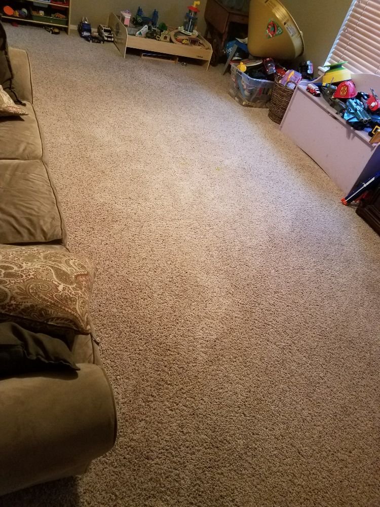 DOCTOR CARPET STEAM CLEANERS Updated May 2024 Fayetteville