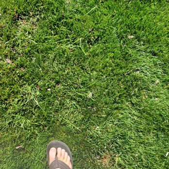 Premier Solar Cleaning - Zoom in. No way to pick all these droppings out. - Solar Panel Cleaning Near Me - Lake Elsinore, California
