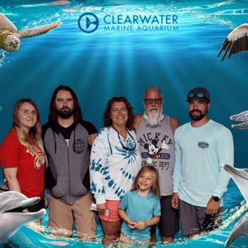 Dream Traveler Vacations - Clearwater Marine Aquarium, Clearwater FL. We met Winter the Dolphin form A Dolphin's Tale. - Travel Agents Near Me Dream Traveler Vacations - Clearwater Marine Aquarium, Clearwater FL. We met Winter the Dolphin form A Dolphin's Tale. - Travel Agents Near Me