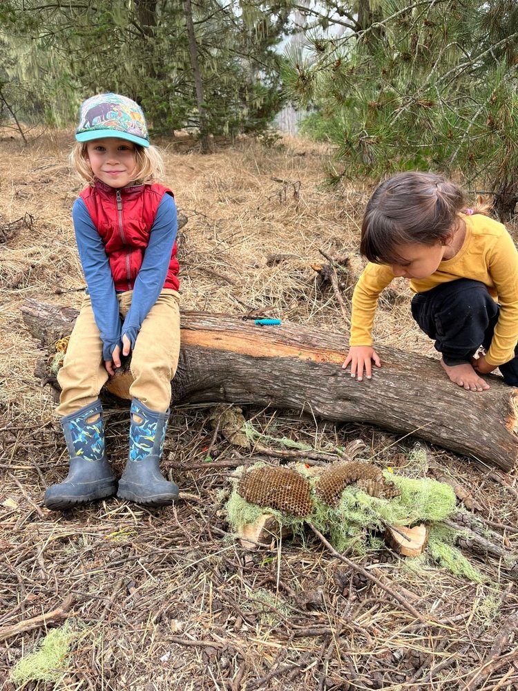 Little Earthlings Forest School - childcare center in San Francisco, CA