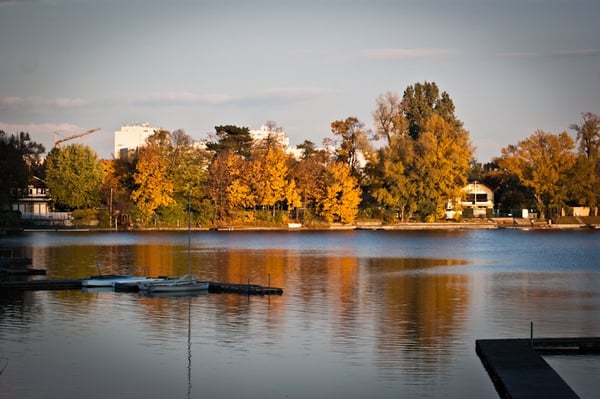 Alte Donau by null