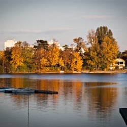 Alte Donau