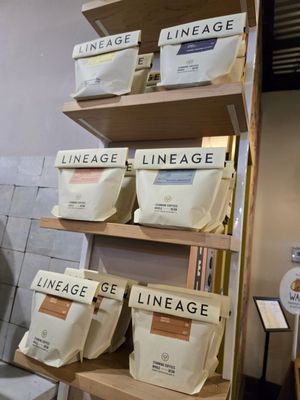 Lineage Coffee Roasting by null
