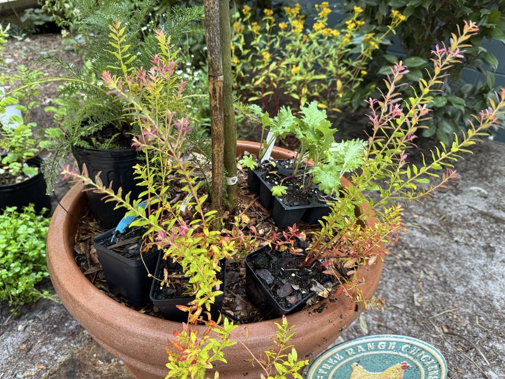 Grow Hub - social services organization in Gainesville, FL