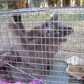 Pet Savers - Veterinarians Near Me - Spokane Valley, Washington Pet Savers - Veterinarians Near Me - Spokane Valley, Washington