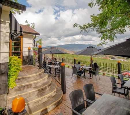 Davison Orchards by null