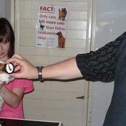 Willow Veterinary Clinic