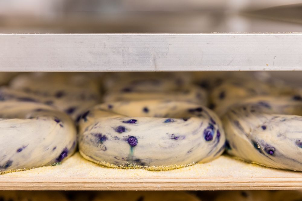 JOE’S BAGEL AND GRILL Updated August 2024 25 Photos & 23 Reviews