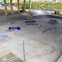 Photo of Bluebonnet Skatepark