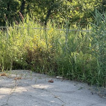 Mini Mall Storage - So many weeds. The place looks like this all the time even with the increase in price. - Self Storage Near Me - Cedar Lake, Indiana Mini Mall Storage - So many weeds. The place looks like this all the time even with the increase in price. - Self Storage Near Me - Cedar Lake, Indiana