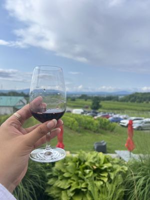 Ste-Pétronille - Winery & Cidery by null