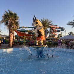 Cowabunga Bay Water Park - 08/17/2025 Country in The Cove Music Festival 21+
