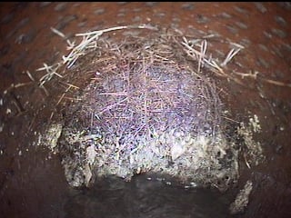 Slide of Titan Sewer & Drain