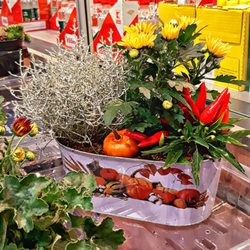 Kaufland - Im Supermarkt (11/2021)