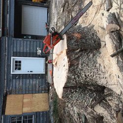 A. Kreta & Son Tree & Stump Removal - untitled