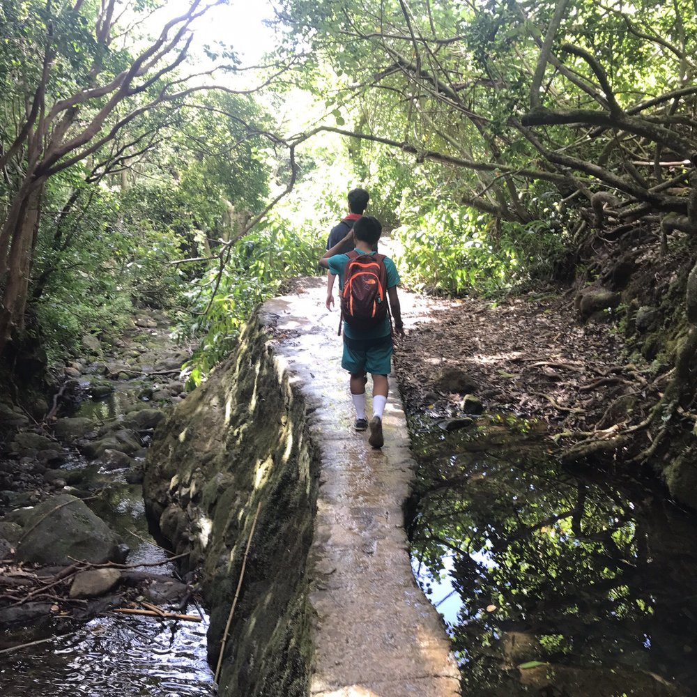 Lulumahu Falls - Hiking Near Me - Honolulu, Hawaii Lulumahu Falls - Hiking Near Me - Honolulu, Hawaii