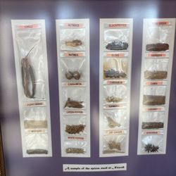 Nawab Indian Cuisine - Spices