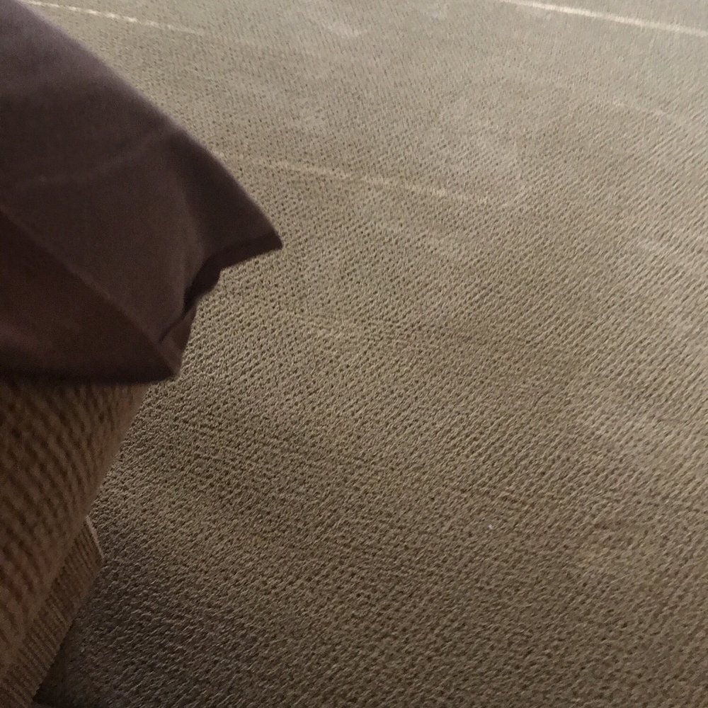 Safer Choice Cleaning - Carpet Cleaning Near Me - Riverside, California Safer Choice Cleaning - Carpet Cleaning Near Me - Riverside, California
