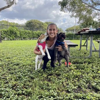 Bark Park - Dog Parks Near Me - Miami, Florida Bark Park - Dog Parks Near Me - Miami, Florida