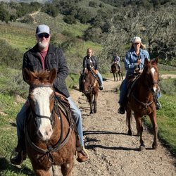 Vino Vaqueros Horseback Riding - Family day! Fun ride.