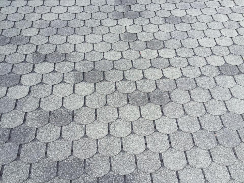 Slide of Potters Construction