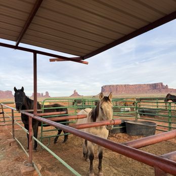 D/D MTA Horse Tours - Horseback Riding Near Me - Monument Valley, Utah