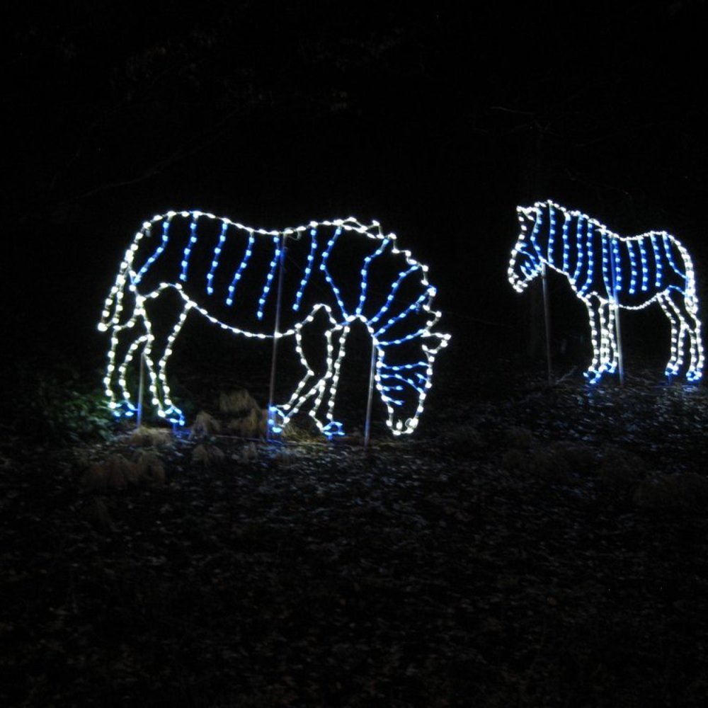 ZooLights - Zoos Near Me - Washington, DC, District of Columbia