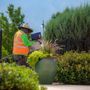 Photo of Green Summit Landscape Management