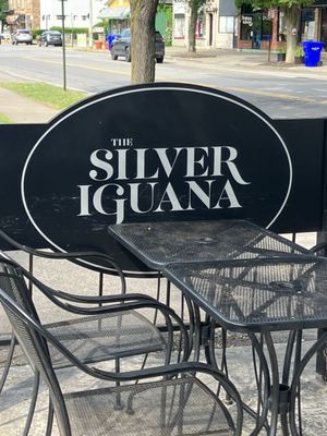 The Silver Iguana by null