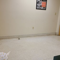 Groton-Ledyard Veterinary Hospital