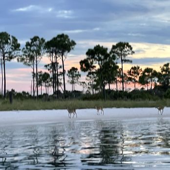 Paradise Adventures - Boat Charters Near Me - Panama City Beach, Florida Paradise Adventures - Boat Charters Near Me - Panama City Beach, Florida